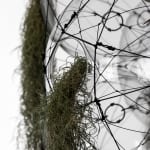 tomas saraceno hanging sculpture with plants