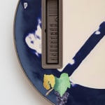 Image of Settings (City Pollen).