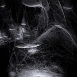 Image of Spider/Web Pavilion 7.
