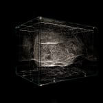Tomas Saraceno spider box