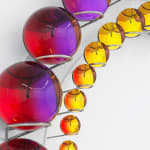 Image of Successful coexistence beyond earth.