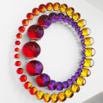 Image of Successful coexistence beyond earth.