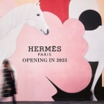 Image of Math Bass's Hermes' project