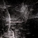 tomas saraceno spider box