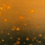 Image of The Stars' Paradox.
