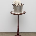 Image of The Polar Bear.