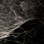 Tomas Saraceno spider box