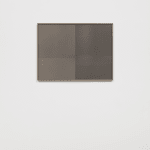lisa oppenheim celluloid photo