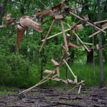 Image of Indistinct Form (Forma Indistinta).