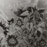 Image of Entartete Kunst, Sonnenblumen, 1919/2023 (Version II)