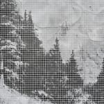 a detail of a black and white forest landscape on a small panel on a white wall