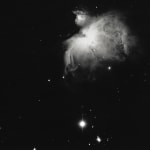 Image of NGC 1976; Date 1981 Jan 12/13; Plate No. CD 1746