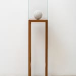 Image of Shilpa Gupta, 1:7690 2023.