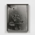 Image of Fleurs et Fruits, 1943/2022 (Version I)