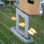 highline installation of bird houses