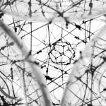 tomas saraceno hanging sculpture with plants