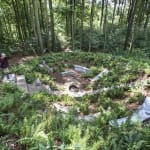 Image of Gupta'sSite Specific work in Sonsbeek Park, Arnhem.