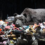 image of a bear on top of a pile of objects