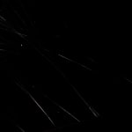 tomas saraceno spider box