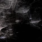 tomas saraceno spider box