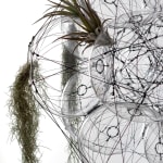 tomas saraceno hanging sculpture with plants