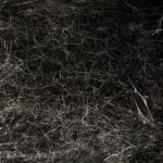 Tomas Saraceno spider box