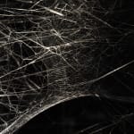 Tomas Saraceno spider box