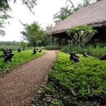 Image of Gerard - Thailand