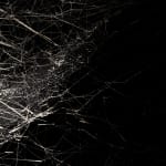 Tomas Saraceno spider box