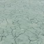 Image of Glacial rock flour garden.