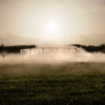 Image of Fog assembly.