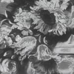 Image of Oppenheim's photograph