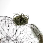 tomas saraceno hanging sculpture with plants
