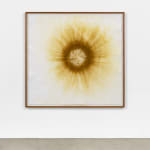 Image of Earth Sun I am