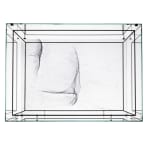 Image of Saraceno spider box.