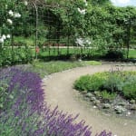 image of Eliasson circular garden tunnel