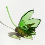 Kelly Akashi glass sculpture.