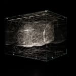 Tomas Saraceno spider box