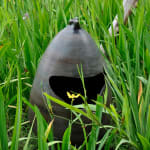 Image of Gerard - Thailand