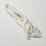 Savia Mahajan, Emergency-old-longing 21, 2023