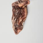 Savia Mahajan, Emergency-old-longing 3, 2022
