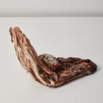 Savia Mahajan, Emergency-old-longing 4, 2022