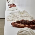 Savia Mahajan, Emergency-old-longing 23, 2023