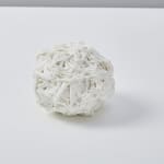 Savia Mahajan, Emergency-old-longing 11, 2022