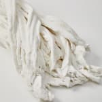 Savia Mahajan, Emergency-old-longing 21, 2023