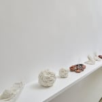 Savia Mahajan, Emergency-old-longing 13, 2023