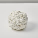 Savia Mahajan, Emergency-old-longing 12, 2022