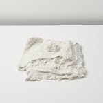 Savia Mahajan, Emergency-old-longing 1, 2019