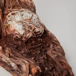 Savia Mahajan, Emergency-old-longing 4, 2022