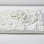 Savia Mahajan, Exuvia 1, 2023